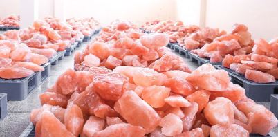 Quality is our Value